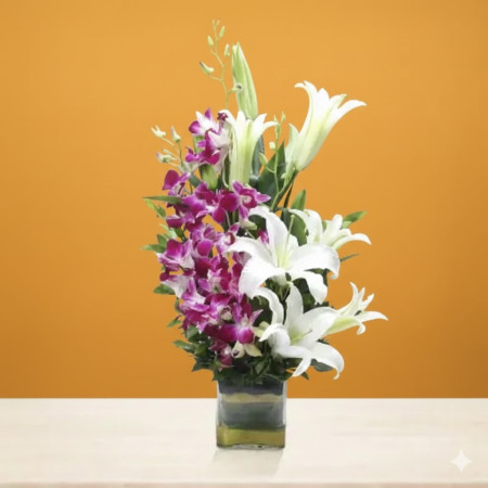 Beautiful Orchidaceous Beautiful Orchidaceous