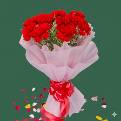 12 Red Carnations