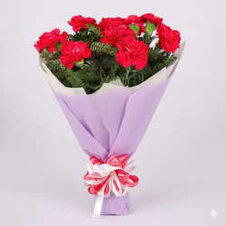 Pretty Red Carnation